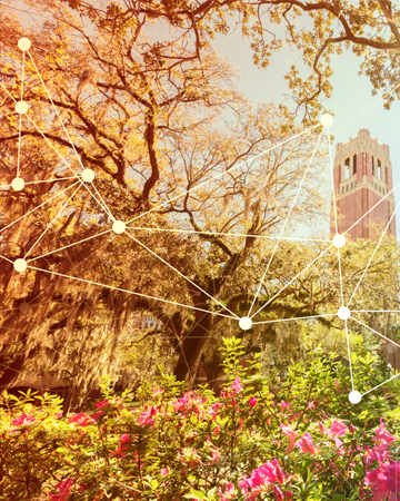 University Tower in the distance surrounded by plants