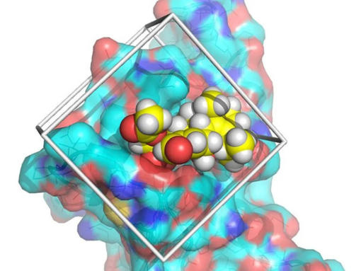 A complex chemical model.