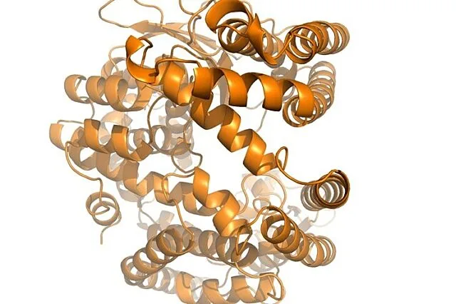 Graphic of cell compounds