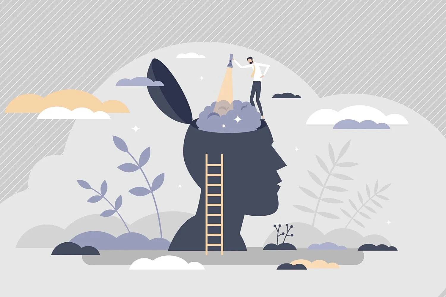 A silhouette of a person's head is shown, with a ladder leading up to their mind, represented by clouds and a small figure standing atop holding a torch or light source.