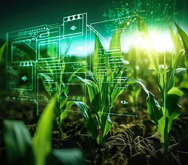 A corn field over which AI graphics are imposed